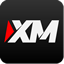 xm外汇